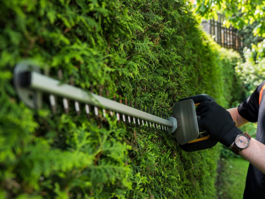 Batavia 7064547 MAXXPACK 18V Hedge Trimmer Bare Unit