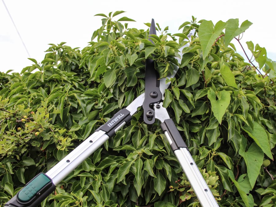 Faithfull FAICOUHS12T Telescopic Hedge Shear 300mm