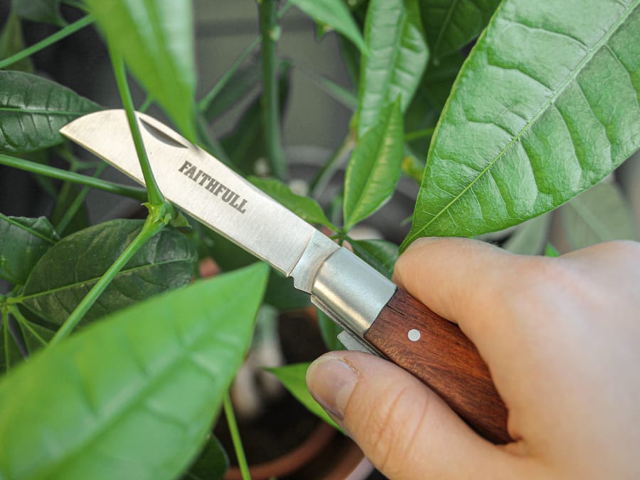 Faithfull FAICOUKNIFE Countryman Budding & Pruning Knife