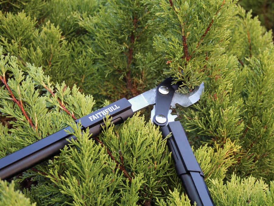 Faithfull FAICOULOPB24 600mm Geared Bypass Lopper
