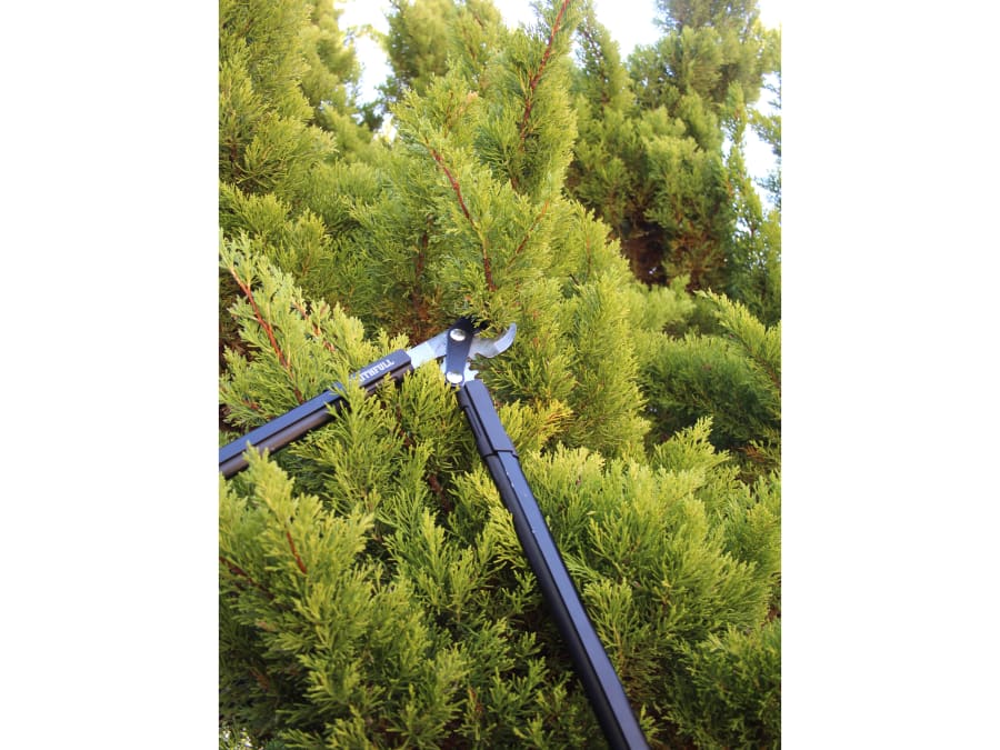 Faithfull FAICOULOPB24 600mm Geared Bypass Lopper