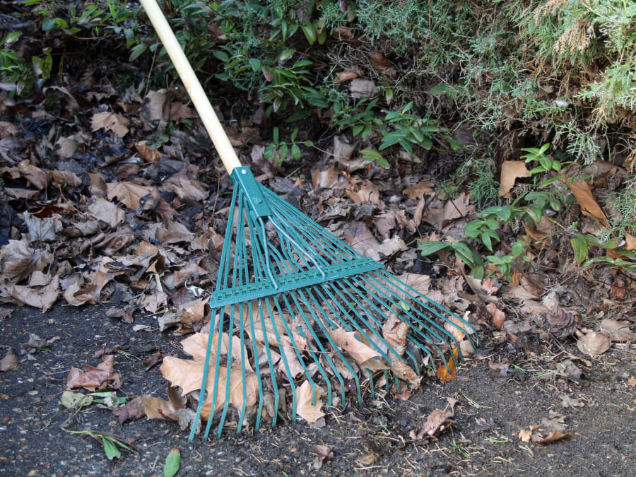 Faithfull FAICOULRF Countryman Leaf Rake with 22 Flat Tines