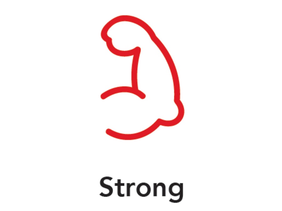 Red Gorilla 1191PPR Shovel