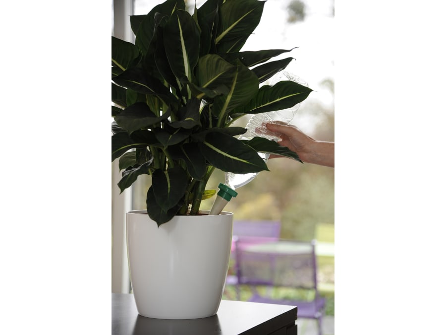 Hozelock 100001315 Aquasolo Watering Cone Pack of 4