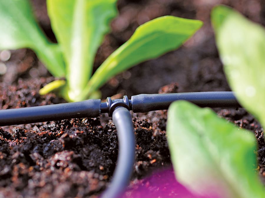 Hozelock 100001350 4mm T-Piece (Pack 12)