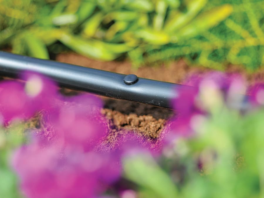 Hozelock 100001355 Blanking Plug Pack 10