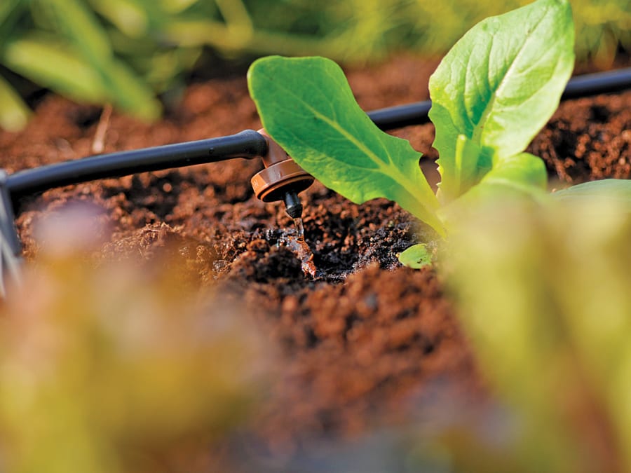 Hozelock 100001364 In-Line Pressure Dripper