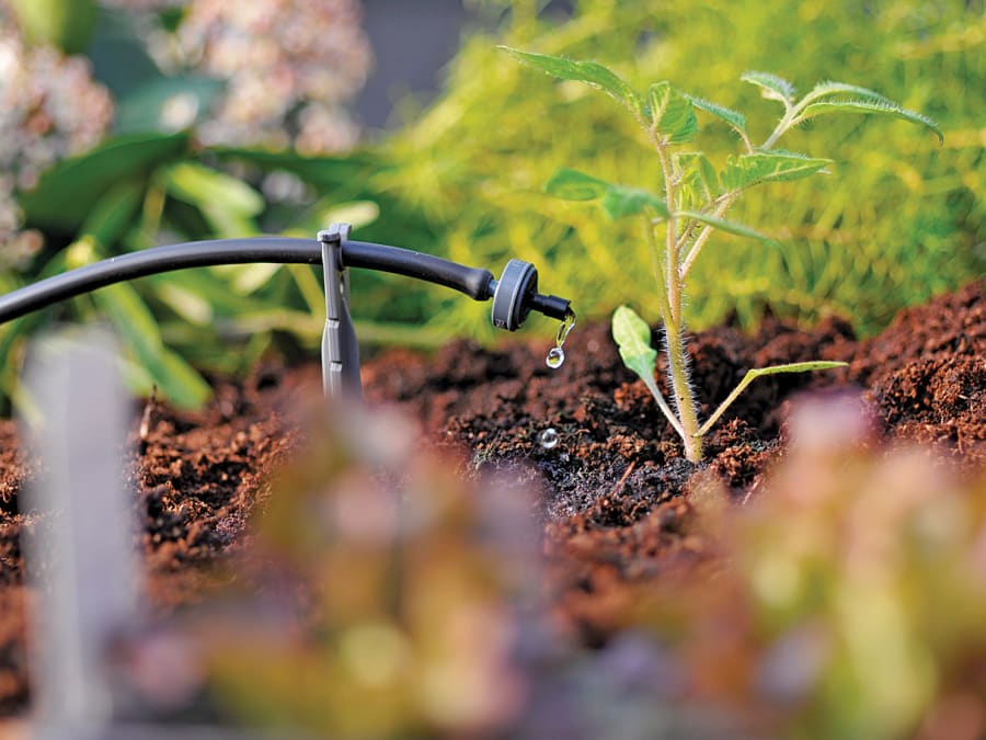 Hozelock 100001366 End Line Pressure Dripper 4mm/13mm