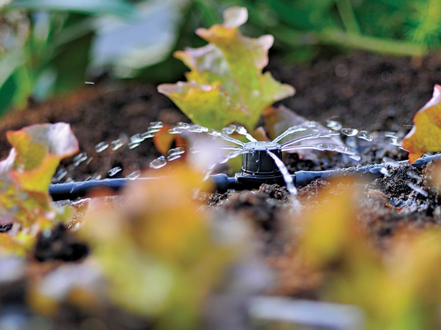 Hozelock 100001367 In-Line Adjustable Mini Sprinkler