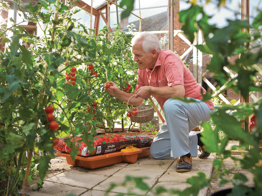 Hozelock 100001406 Growbag Waterer