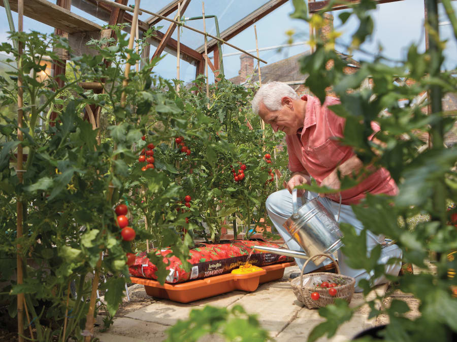 Hozelock 100001406 Growbag Waterer