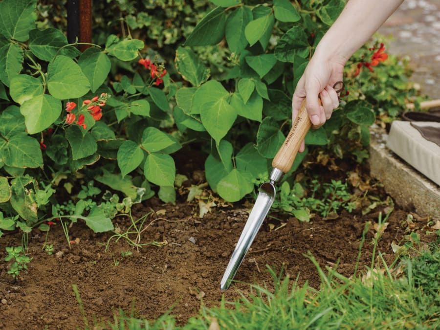 Kent & Stowe 70100182 Stainless Steel Hand Widger