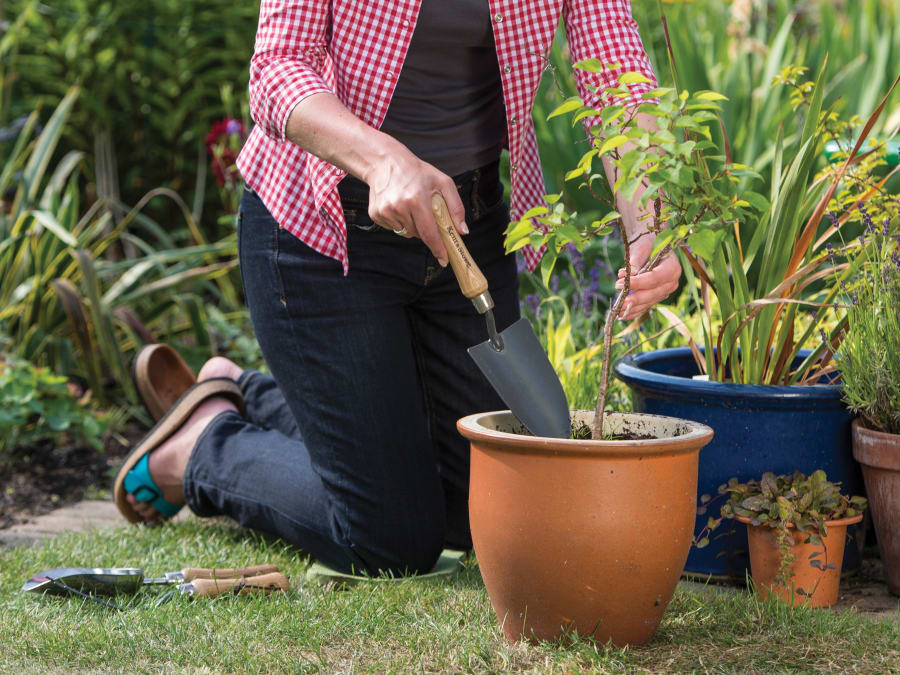 Kent & Stowe 70100277 Carbon Steel Hand Trowel