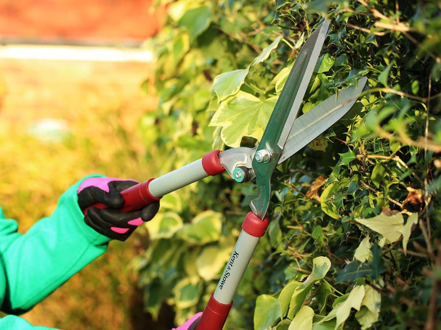 Kent & Stowe 70100426 General Purpose Hedge Shears