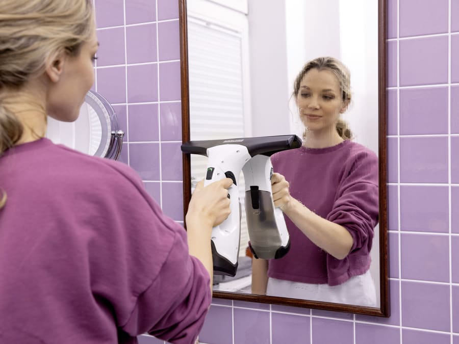 Karcher WV 2 Window Vac