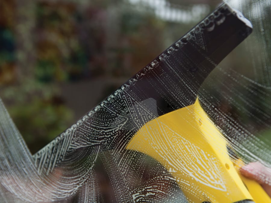 Karcher WV 2 Plus Window Vac