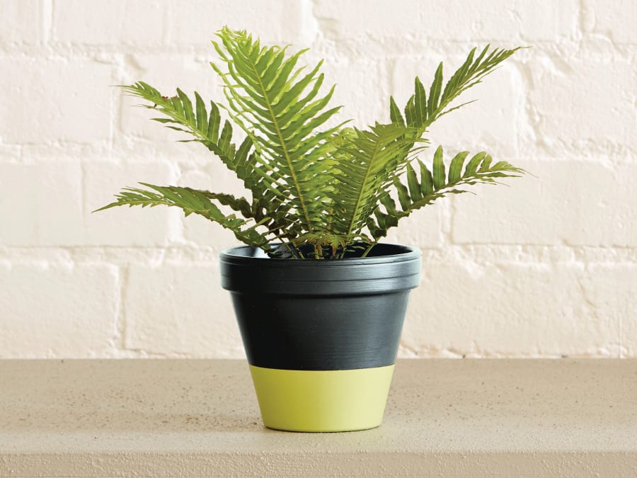 Ronseal 37406 Garden Paint Blackbird 750ml