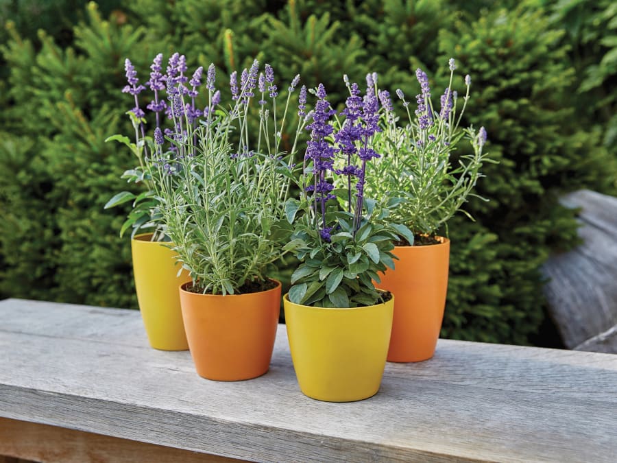 Ronseal 37414 Garden Paint Sundial 750ml