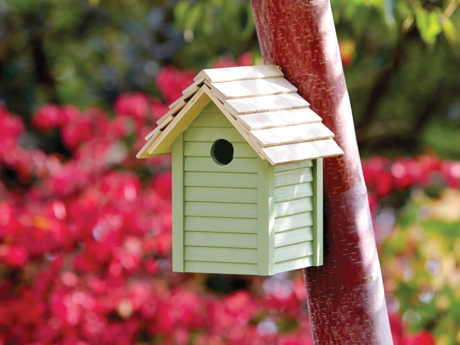 Ronseal 37418 Garden Paint Sapling Green 2.5 Litre