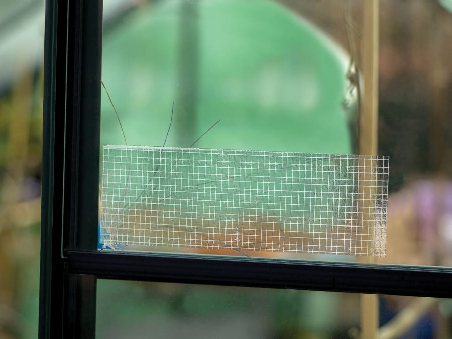 Shurtape 222150 50mm x 20m Clear Tape