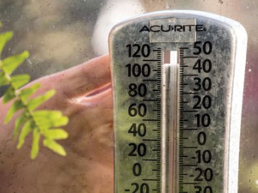 Shurtape 285664 T-Rex Clear Mounting Tape 25mm x 1.5m