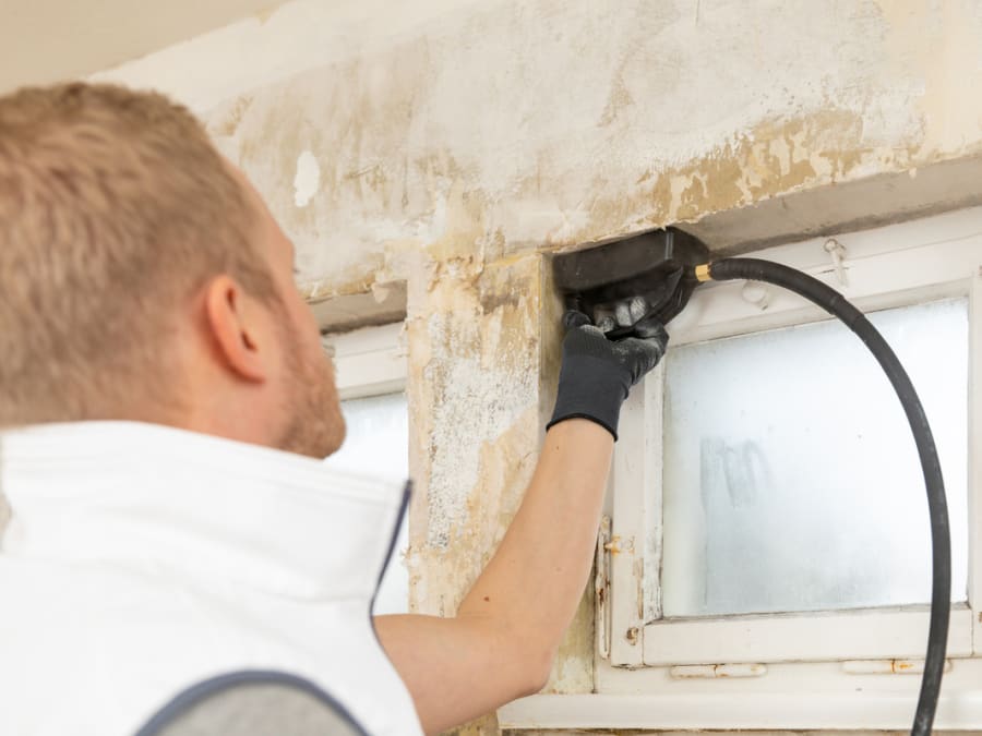 Wagner 2418214 SteamForce Speed Pro