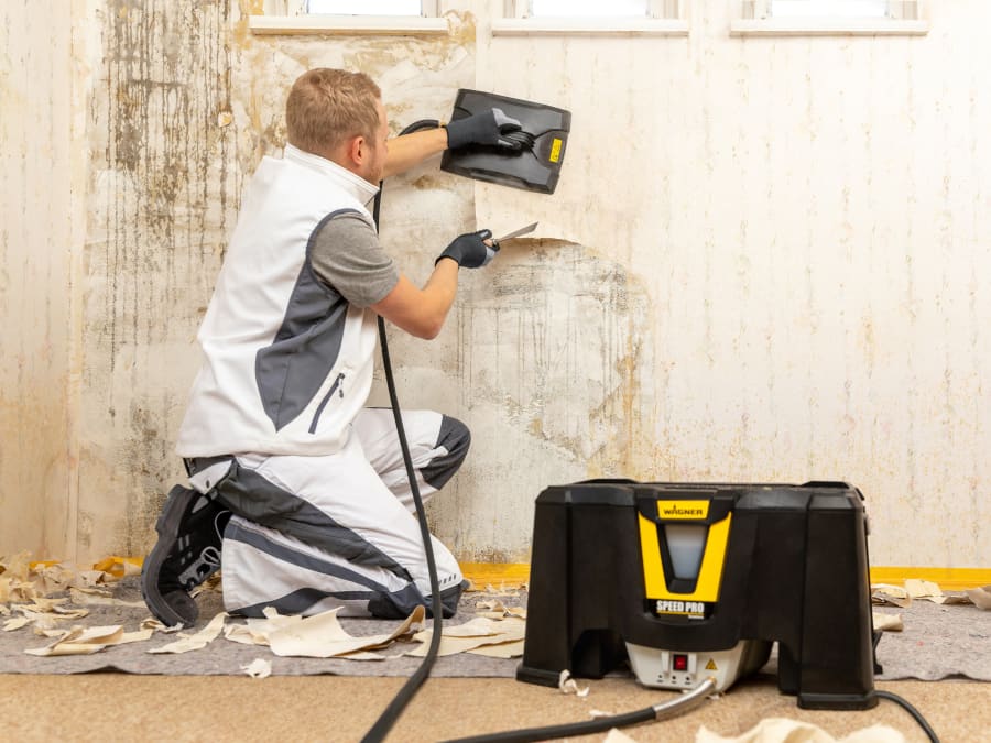 Wagner 2418214 SteamForce Speed Pro