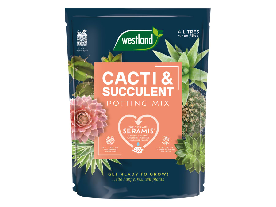 Westland 10200094 Cacti & Succulent Potting Mix 4 Litre