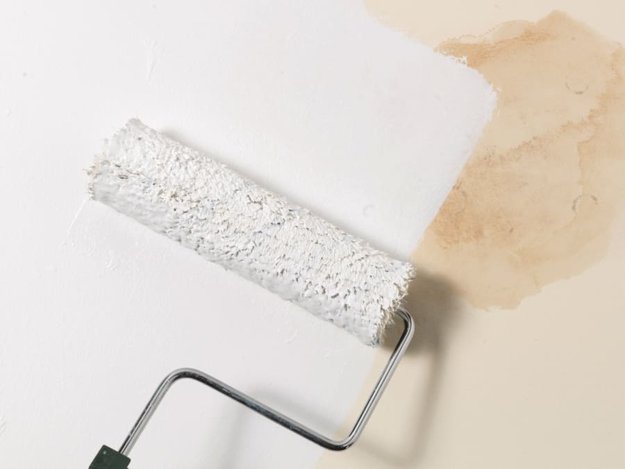 Zinsser ZN7190001D1 Bulls Eye 1-2-3 Plus Primer Sealer & Stain Killer White 1 Litre