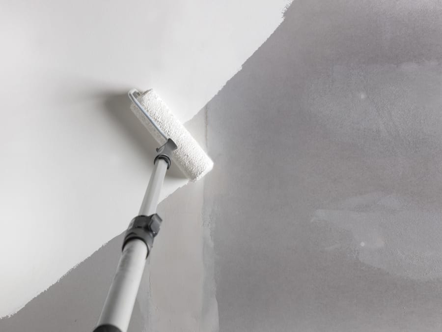 Zinsser ZN7380002C1 Ceiling Pro 5 - in - 1 2.5 Litre