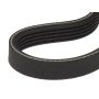 Alm Manufacturing FL268 Drive Belt