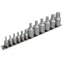 Bluespot Tools 01551 12 Piece Mixed Drive Torx Socket Set