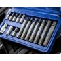 Bluespot Tools 1513 15 Piece Hex Bit Set