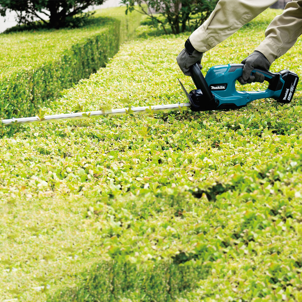 Makita DUH607RT 18V LXT Brushless Hedge Trimmer 600mm with 1 × 5.0Ah Battery