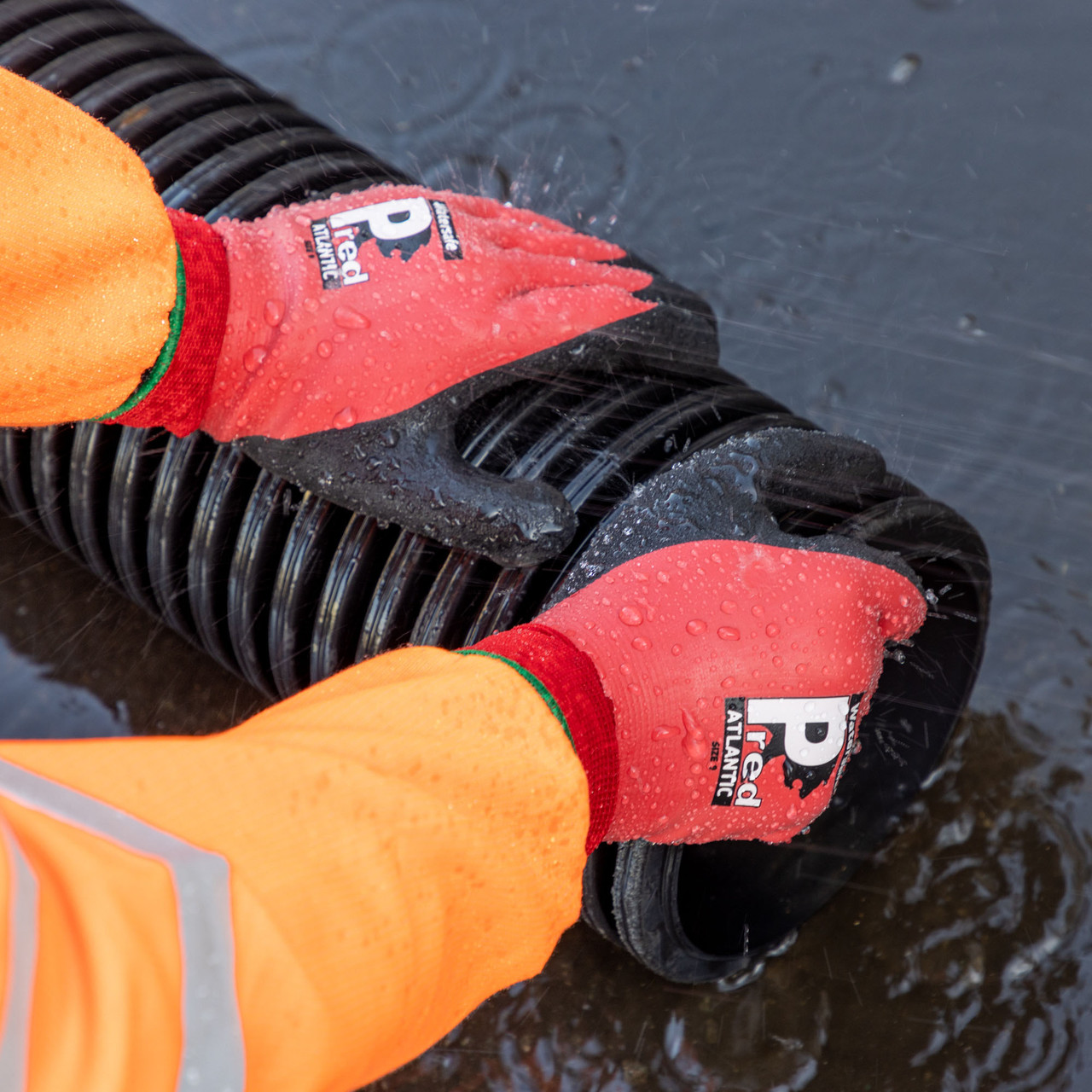 Predator By Ron WS18 Watersafe Atlantic Gloves Medium Pack of 10